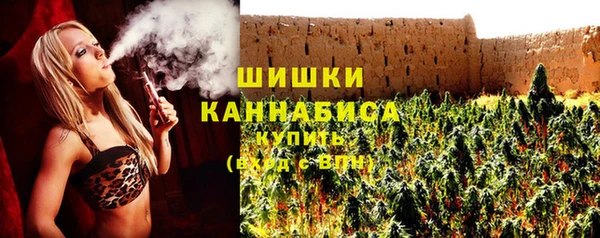 стафф Бородино