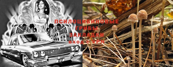 стафф Бородино