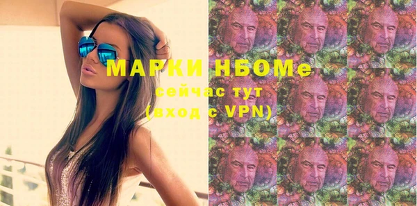 стафф Бородино